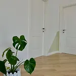 Gibel Golem (Tirana)